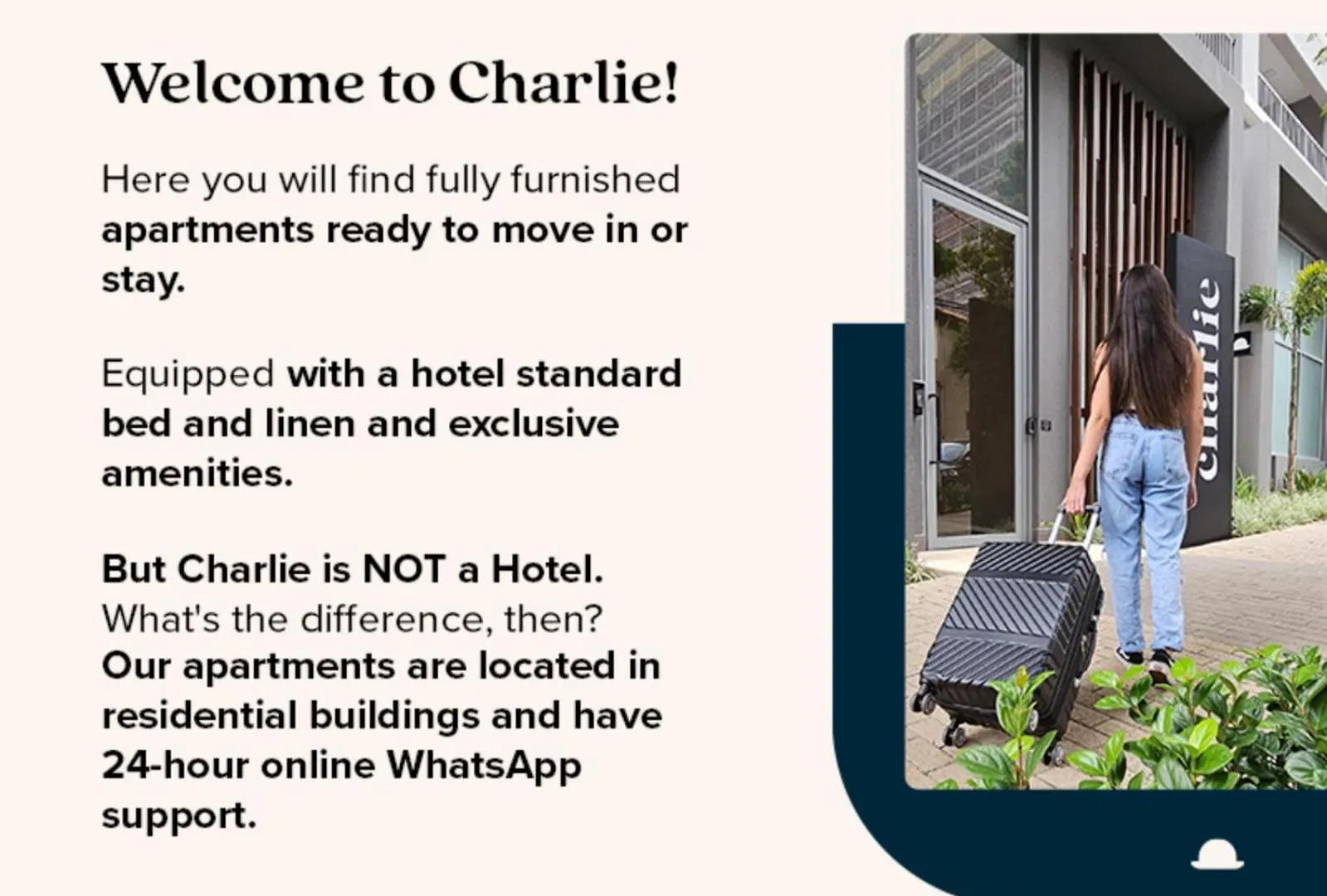 Charlie Vitrali Moema Apartment Sao Paulo